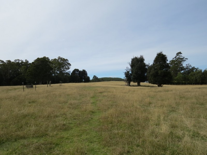 516 Staverton Rd, Promised Land TAS 7306