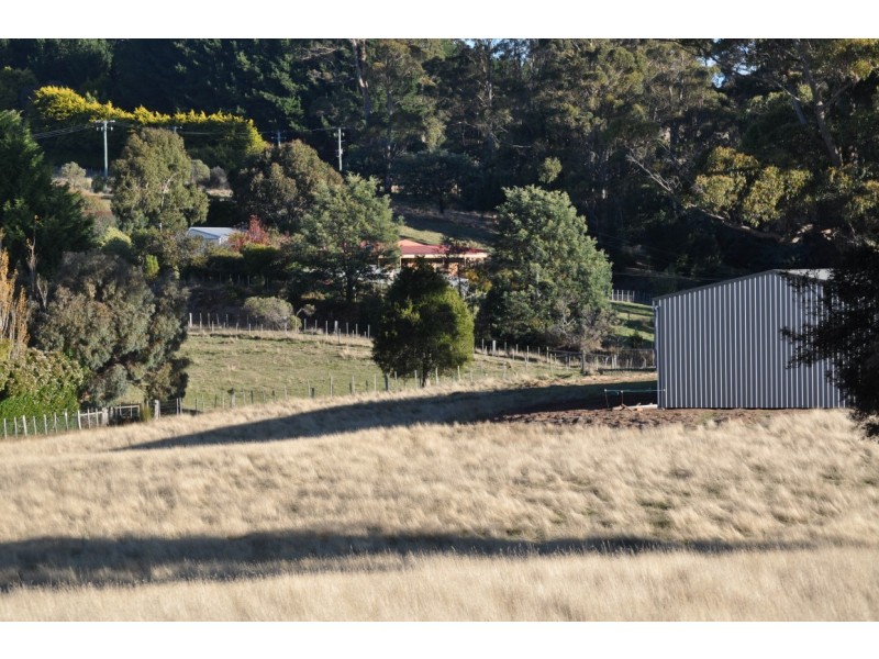 516 Staverton Rd, Promised Land TAS 7306