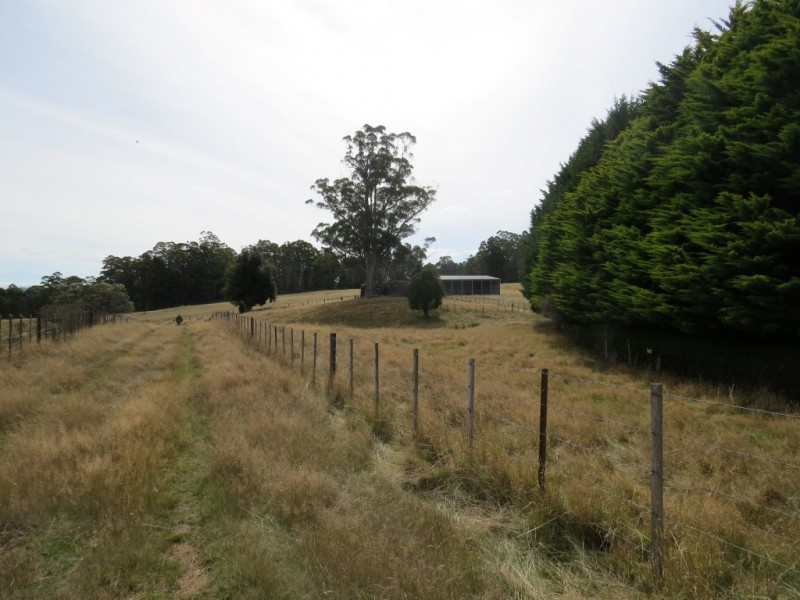516 Staverton Rd, Promised Land TAS 7306