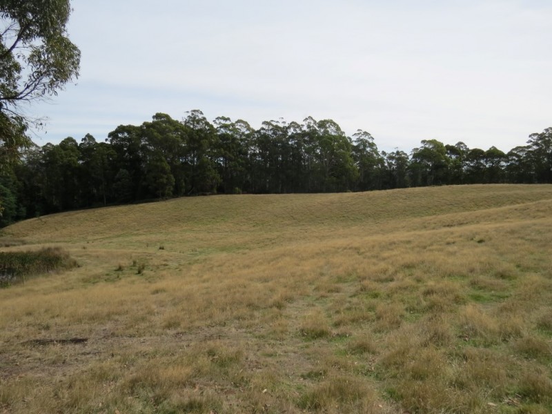 516 Staverton Rd, Promised Land TAS 7306
