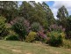 516 Staverton Rd, Promised Land TAS 7306