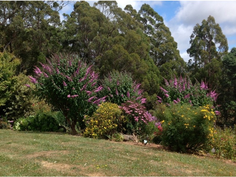516 Staverton Rd, Promised Land TAS 7306