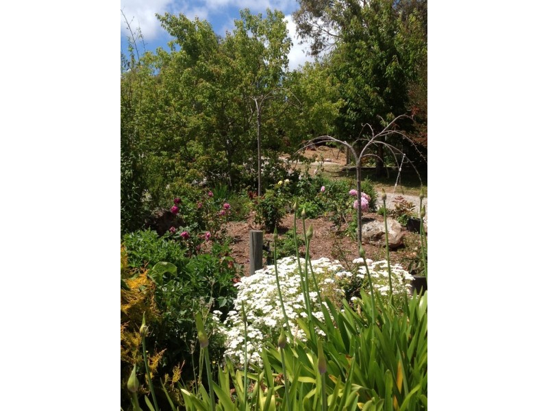 516 Staverton Rd, Promised Land TAS 7306