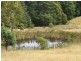 516 Staverton Rd, Promised Land TAS 7306