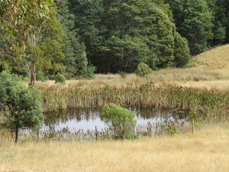 516 Staverton Rd, Promised Land TAS 7306