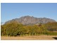 516 Staverton Rd, Promised Land TAS 7306