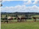 141 Vinegar Hill Road, Sheffield TAS 7306