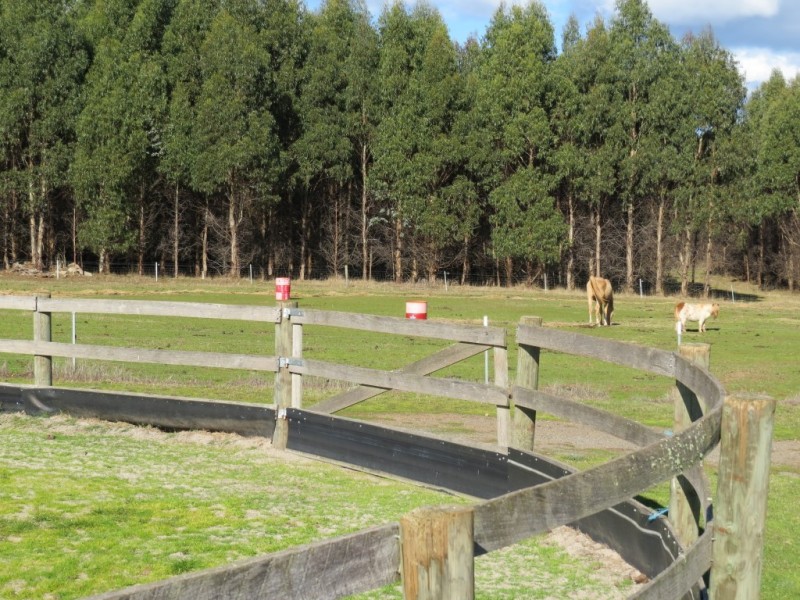 141 Vinegar Hill Road, Sheffield TAS 7306