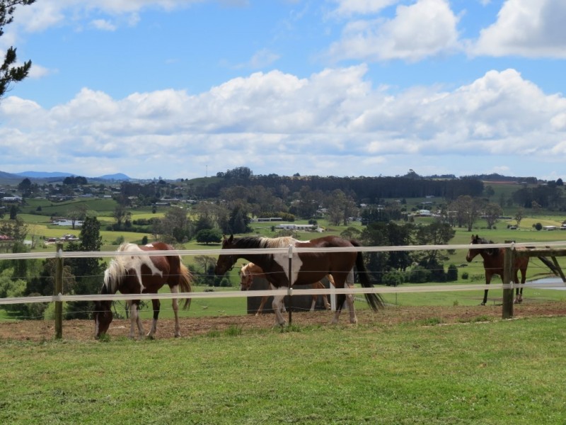 141 Vinegar Hill Road, Sheffield TAS 7306
