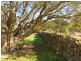 141 Vinegar Hill Road, Sheffield TAS 7306