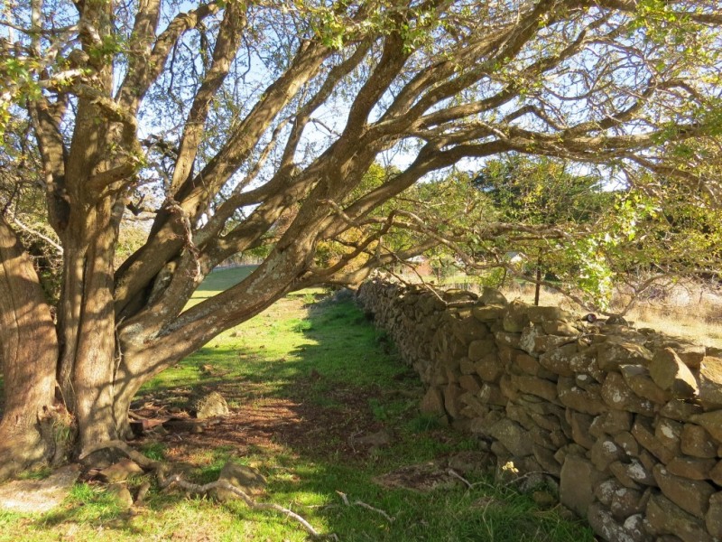 141 Vinegar Hill Road, Sheffield TAS 7306