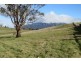 Lot 3 Roland Court, Sheffield TAS 7306