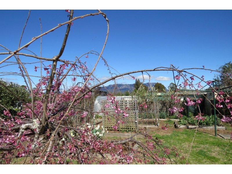 56 Roland Court, Sheffield TAS 7306