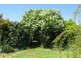 56 Roland Court, Sheffield TAS 7306
