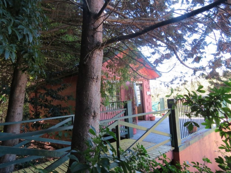 1136 West Kentish Road, West Kentish TAS 7306
