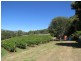 1136 West Kentish Road, West Kentish TAS 7306
