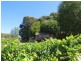1136 West Kentish Road, West Kentish TAS 7306