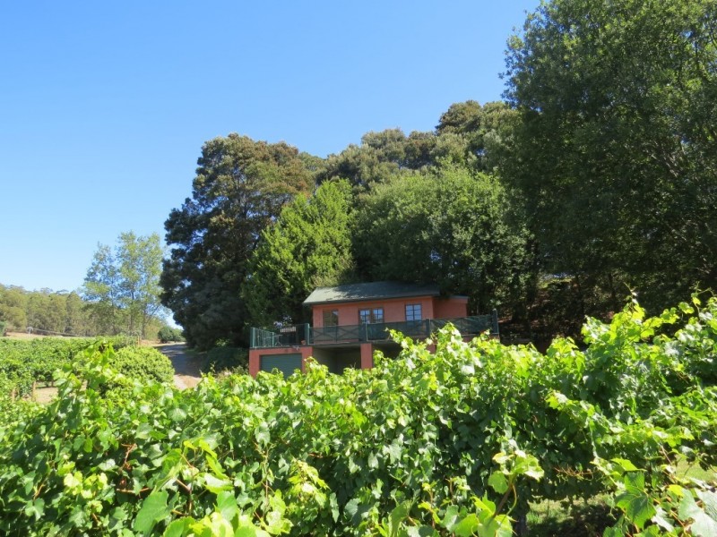 1136 West Kentish Road, West Kentish TAS 7306
