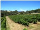 1136 West Kentish Road, West Kentish TAS 7306
