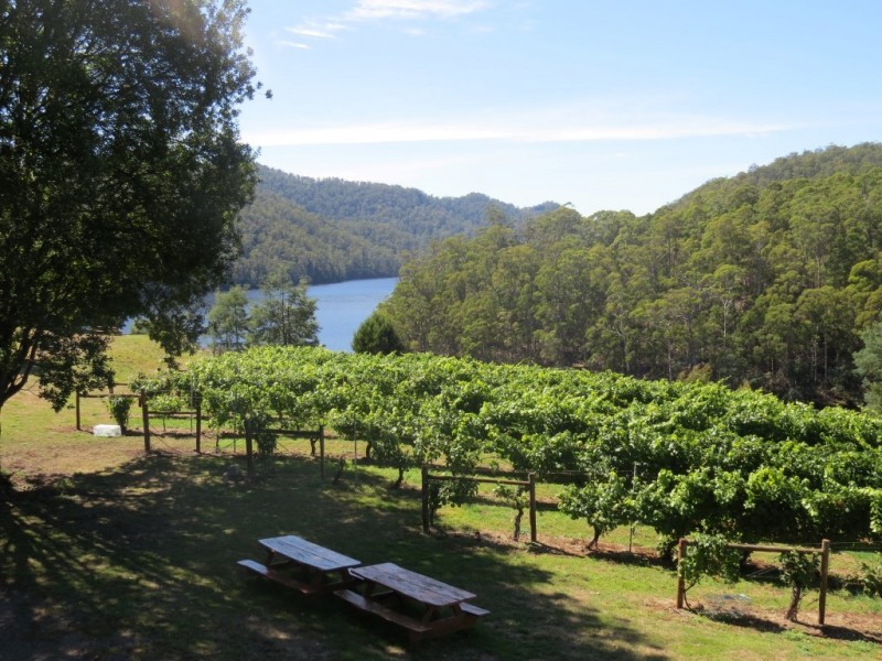 1136 West Kentish Road, West Kentish TAS 7306