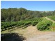 1136 West Kentish Road, West Kentish TAS 7306