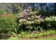 194 Wilks Road, Lorinna TAS 7306