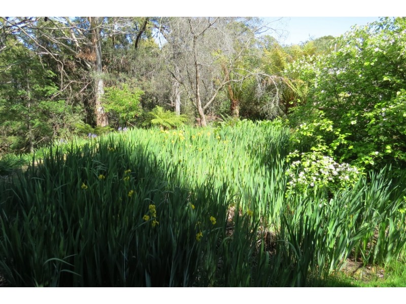 194 Wilks Road, Lorinna TAS 7306