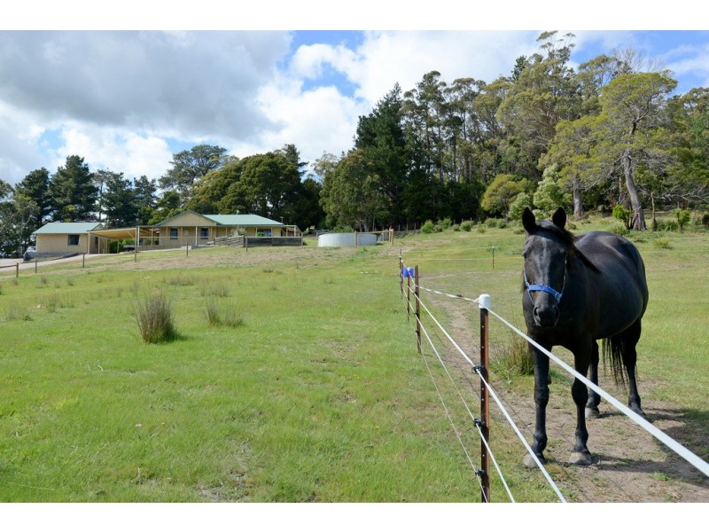 73 Tarleton Road, Tarleton TAS 7310