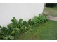 19 Roland Court, Sheffield TAS 7306