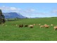 1854 Sheffield Road, Barrington TAS 7306