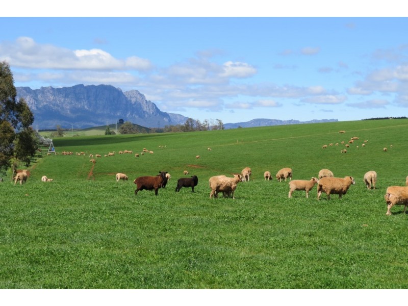 1854 Sheffield Road, Barrington TAS 7306