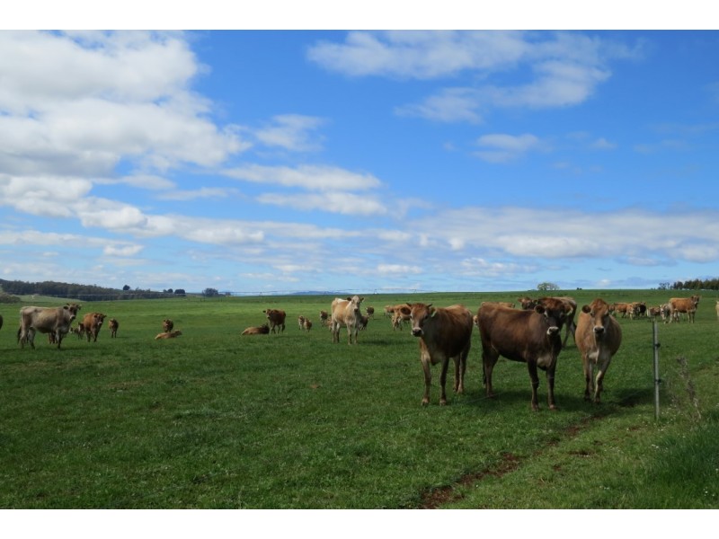 1854 Sheffield Road, Barrington TAS 7306