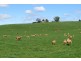 1854 Sheffield Road, Barrington TAS 7306