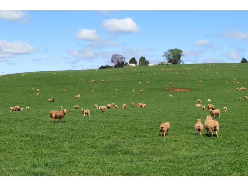 1854 Sheffield Road, Barrington TAS 7306