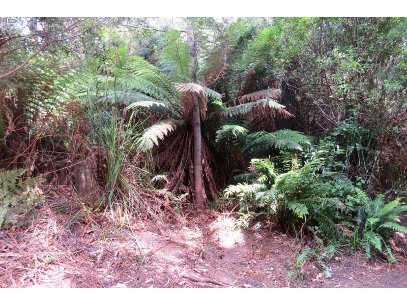 . Brookland Avenue, Acacia Hills TAS 7306