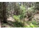 . Brookland Avenue, Acacia Hills TAS 7306