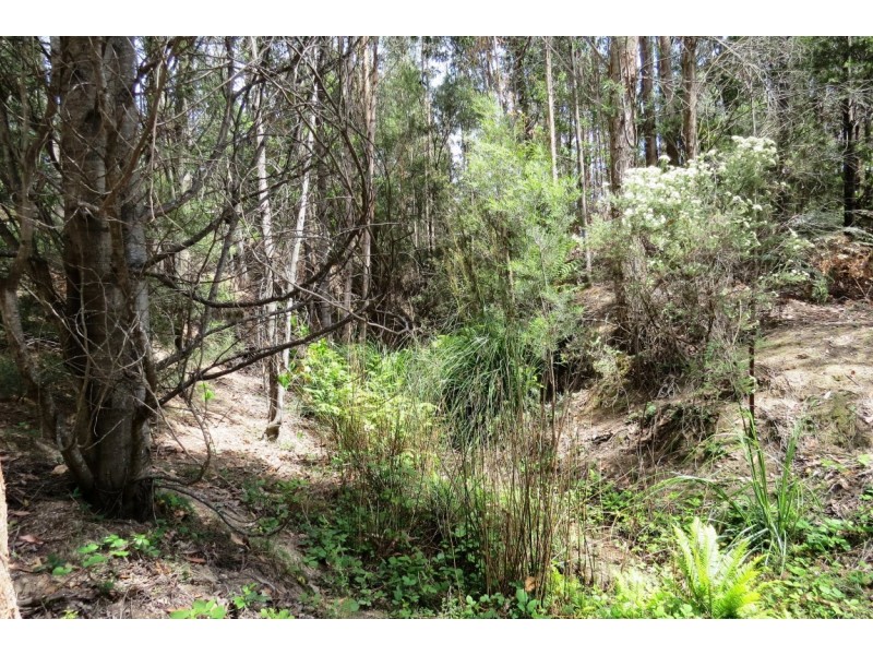 . Brookland Avenue, Acacia Hills TAS 7306