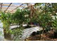 5 West Nook Road, Sheffield TAS 7306