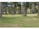 423A Melrose Road, Eugenana TAS 7310