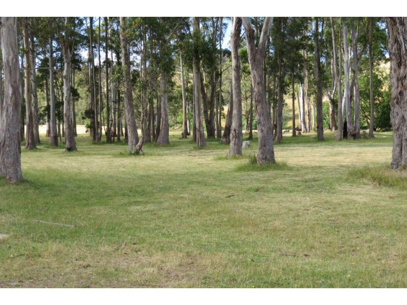 423A Melrose Road, Eugenana TAS 7310