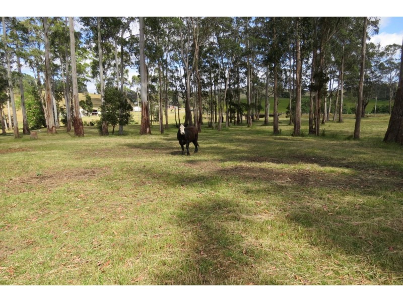 423A Melrose Road, Eugenana TAS 7310