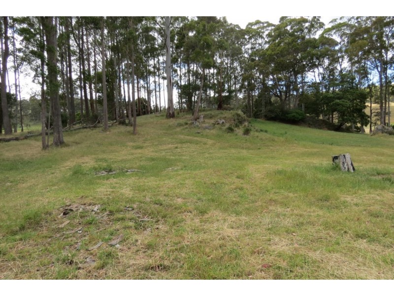 423A Melrose Road, Eugenana TAS 7310