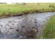 403 Melrose Road, Eugenana TAS 7310
