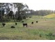 403 Melrose Road, Eugenana TAS 7310