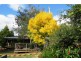 869 Railton Road, Kimberley TAS 7304