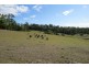 869 Railton Road, Kimberley TAS 7304