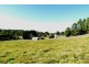 Lot 2, 259 Melrose Road, Aberdeen TAS 7310