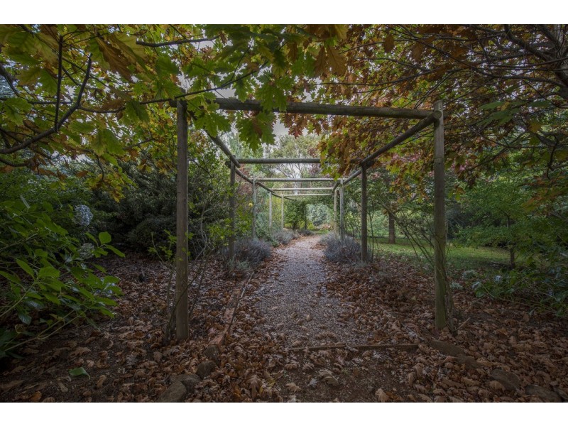 58 Barrington Road, Barrington TAS 7306