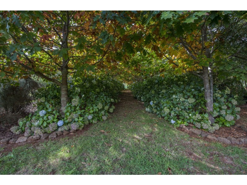 58 Barrington Road, Barrington TAS 7306