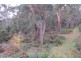 . West Nook Road, Sheffield TAS 7306